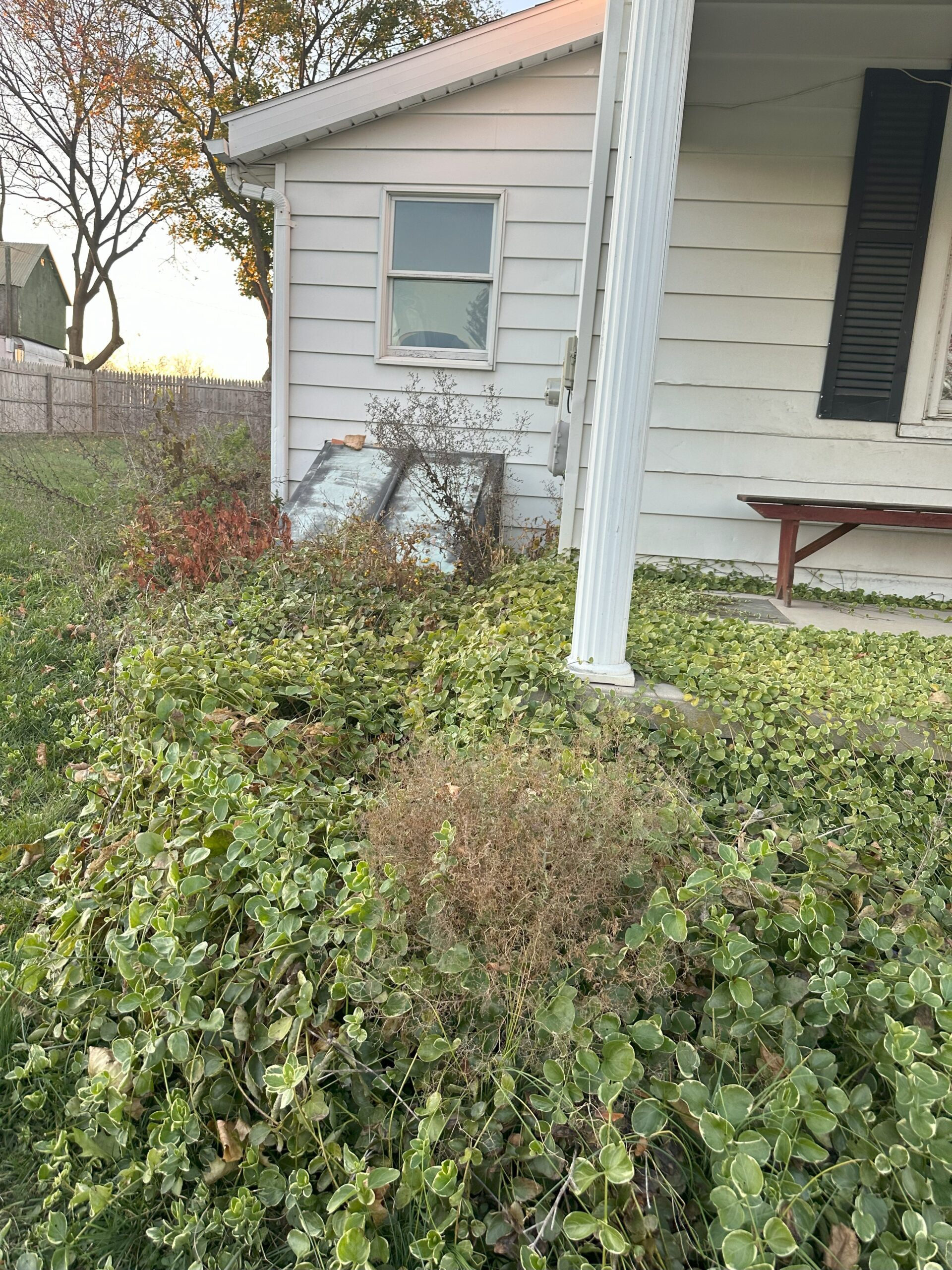 Before image alt
